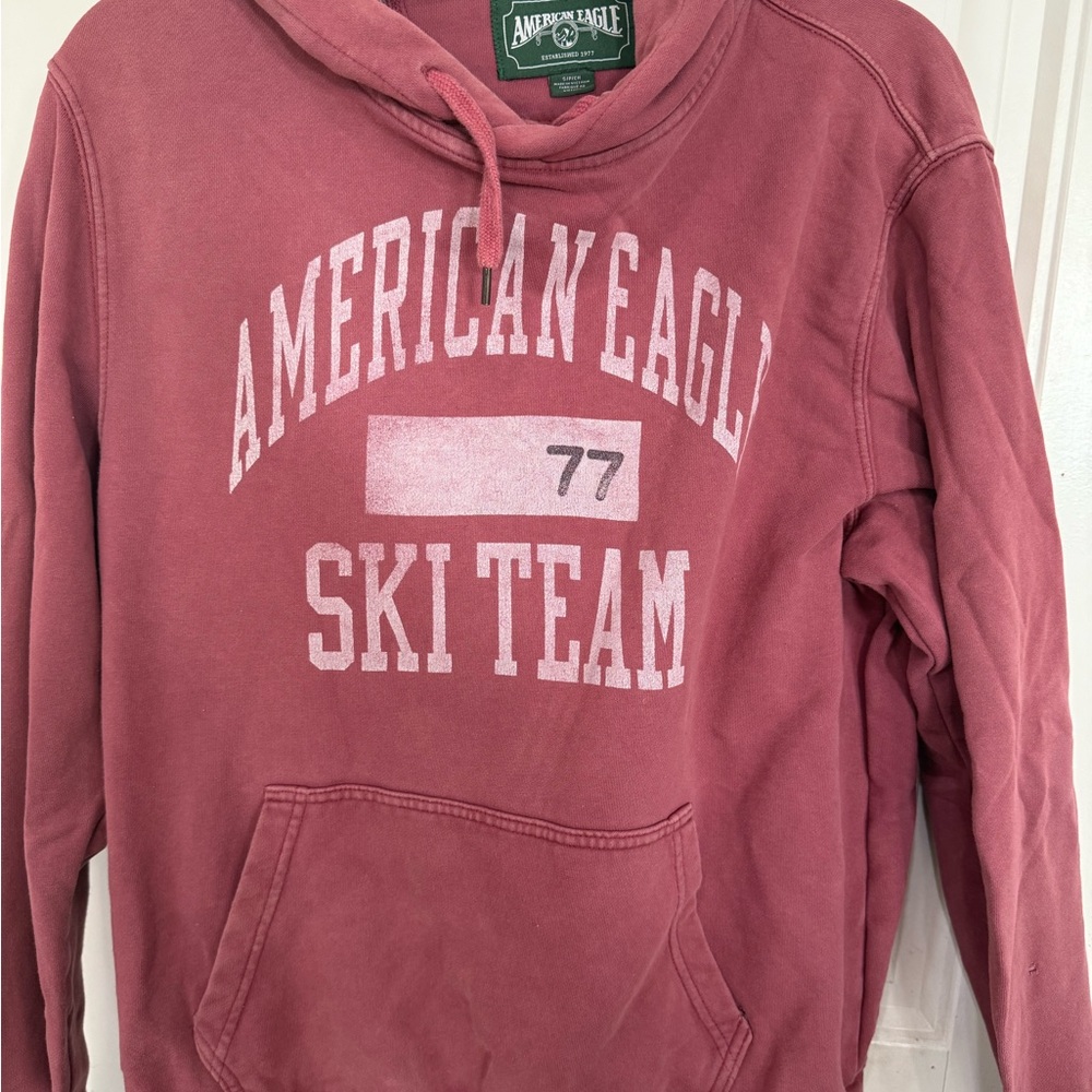 American Eagle Outfitters Distressed Dusty Rose Hoodie